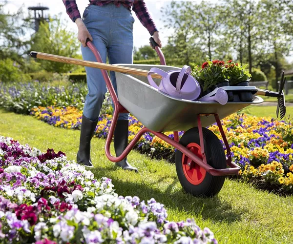- Mit der Gartenbox kommt endlich Ordnung in den Garten  - Mit der Gartenbox kommt endlich Ordnung in den Garten