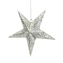 Werner Voß - Leuchtstern, 5-Pointer, weiß