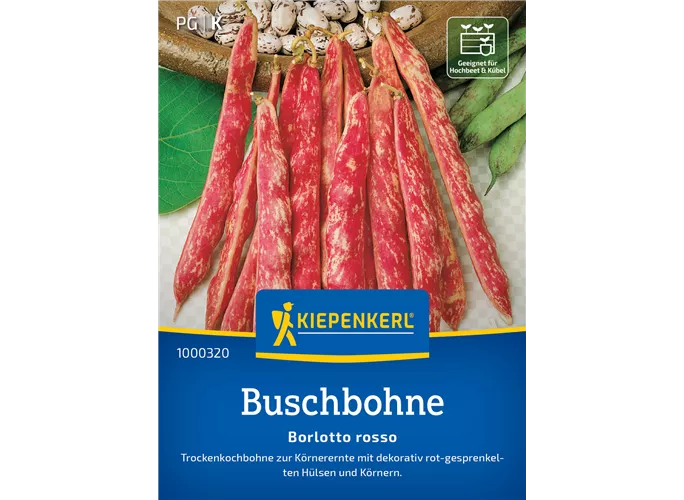 Kiepenkerl Saatgut - Buschbohnen Borlotto Rosso