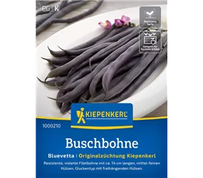Kiepenkerl Saatgut - Buschbohnen Bluevetta