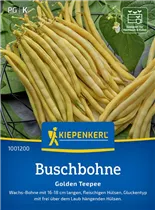 Kiepenkerl Saatgut - Buschbohnen Golden Teepee