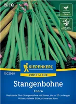 Kiepenkerl Saatgut - Stangenbohnen Cobra