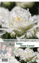  - Tulpen Snow Chrystal