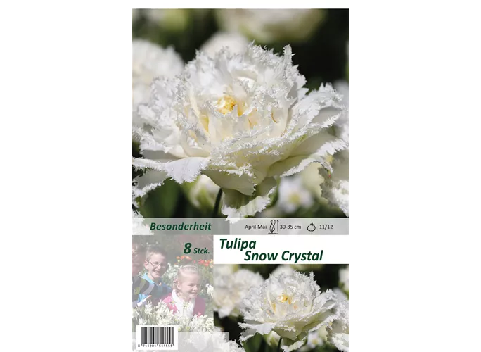  - Tulpen Snow Chrystal