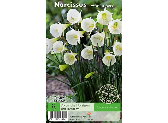  - Narzissen White Petticoat
