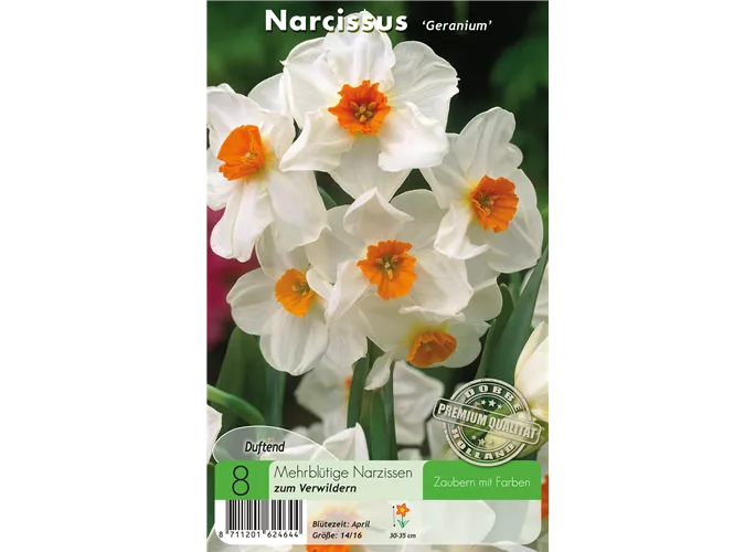  - Narzissen Geranium