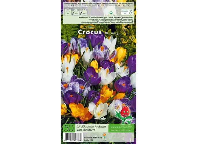 - Krokus Grandiflora Mischung