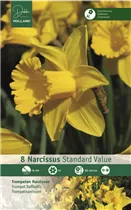 Blumenzwiebeln - Trompeten Narzissen Standard Value gelb, 8 Stück