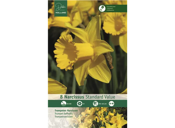 Blumenzwiebeln - Trompeten Narzissen Standard Value gelb, 8 Stück