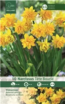 Blumenzwiebeln - Garten-Narzisse Tete Boucle, 10 Stück