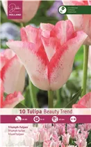 Blumenzwiebeln - Tulpen Beauty Trend x10