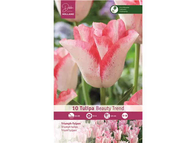 Blumenzwiebeln - Tulpen Beauty Trend x10