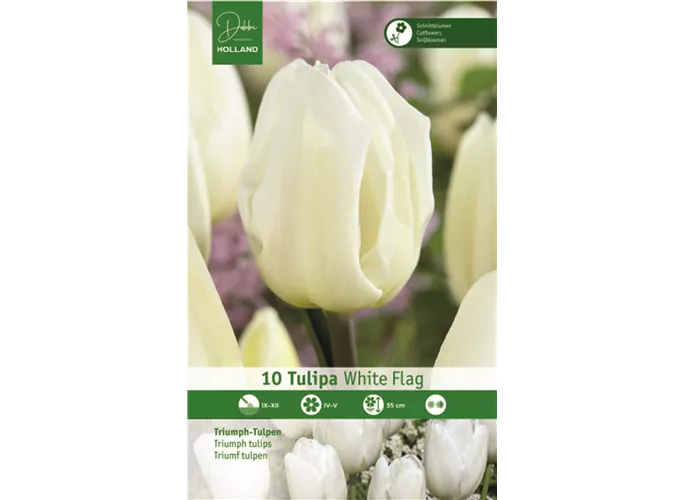  - Tulpen White Flag
