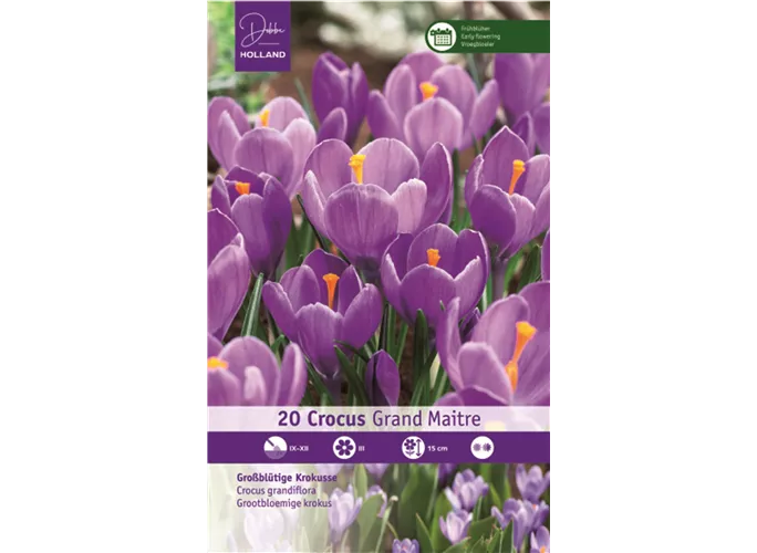  - Krokusse Grand Maitre