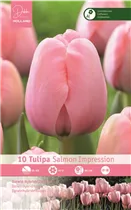  - Tulp Salmon Impression
