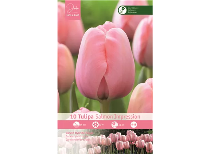  - Tulp Salmon Impression