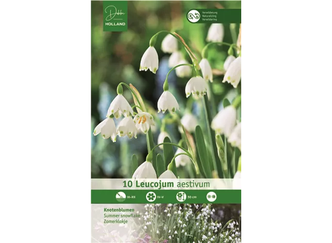 Blumenzwiebeln - Leucojum aestivum x10
