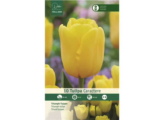  - Tulpen Caractere