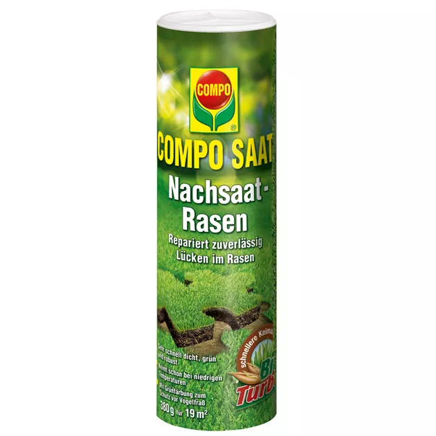 Compo Saat NachRasen 380g - Mauk Gartenwelt