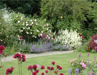 Aller Anfang ist (nicht) schwer - der erste eigene Garten