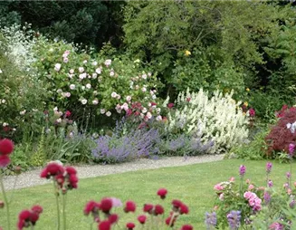 Aller Anfang ist (nicht) schwer - der erste eigene Garten