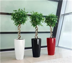 Lechuza Blumentopf - Rondo Premium 40 Komplettset - Schwarz Lechuza Blumentopf - Rondo Premium 40 Komplettset - Schwarz