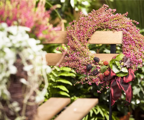 - Orientalisches Flair trifft auf Heide  - Orientalisches Flair trifft auf Heide