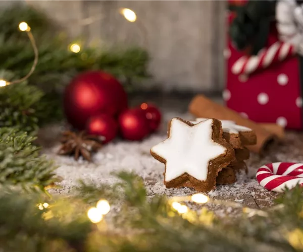 - Grüne Kugeln – die etwas andere Weihnachtsdeko  - Grüne Kugeln – die etwas andere Weihnachtsdeko