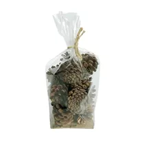 MAXPHIL living - Zapfen, natur