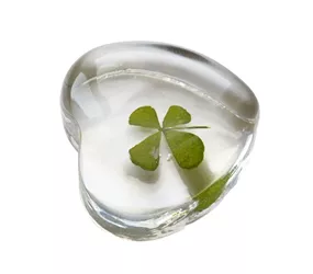 Räder - Flower Power Herz Klee