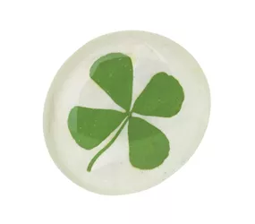 Räder - Flower Power Magnet