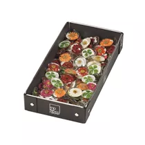 Räder - Flower Power Magnet Räder - Flower Power Magnet