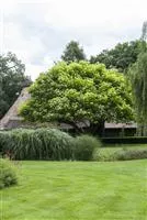 - Frühjahrskur für Ihren Rasen  - Frühjahrskur für Ihren Rasen