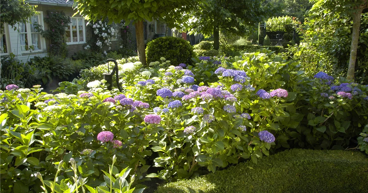  - Bäume und Sträucher im Frühjahr – es müssen nicht immer Blumen sein