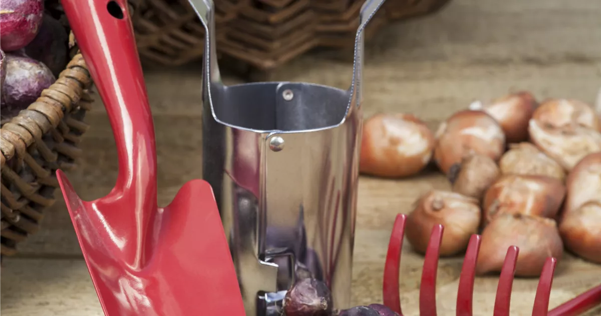  - Ab in den Garten – Blumenzwiebeln im Frühjahr einpflanzen