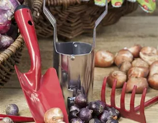 Ab in den Garten – Blumenzwiebeln im Frühjahr einpflanzen