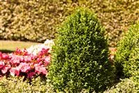 - Alles über Buchs  - Alles über Buchs