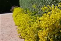 - Blackbox-Gardening – die kreative Idee mit den großen Überraschungseffekten  - Blackbox-Gardening – die kreative Idee mit den großen Überraschungseffekten