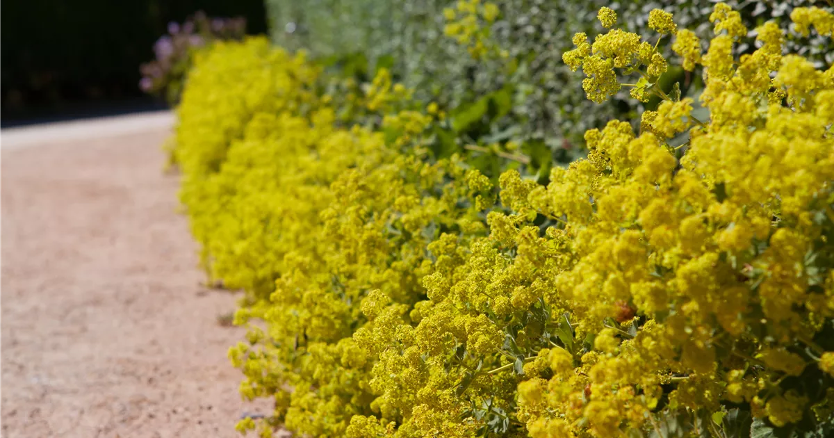  - Blackbox-Gardening – die kreative Idee mit den großen Überraschungseffekten