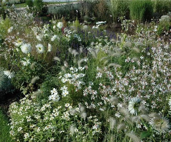 - Ganz in Weiß – elegante Gartengestaltung mit Stil  - Ganz in Weiß – elegante Gartengestaltung mit Stil