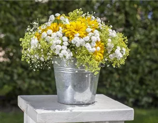 Schnittblumen aus dem eigenen Garten – den Garten ins Haus holen