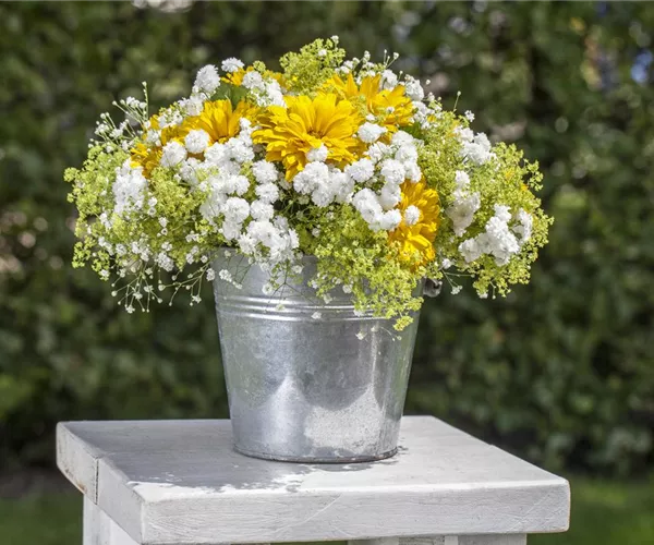 - Schnittblumen aus dem eigenen Garten – den Garten ins Haus holen  - Schnittblumen aus dem eigenen Garten – den Garten ins Haus holen
