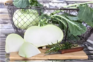 Brassica oleracea var. gongylodes - Kohlrabi Brassica oleracea var. gongylodes - Kohlrabi