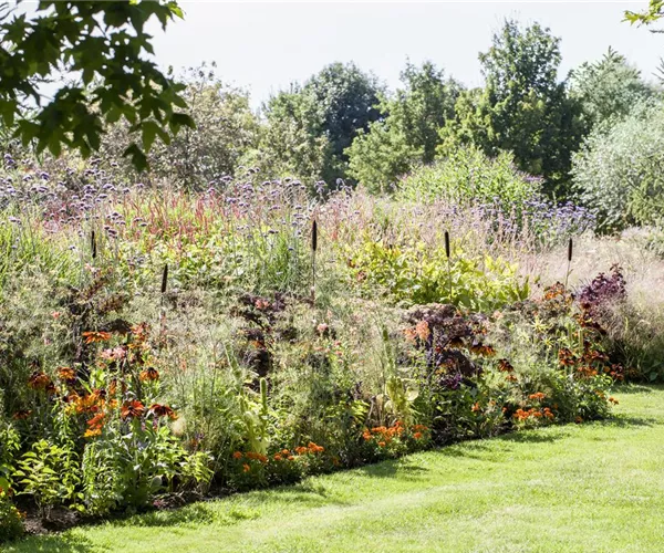 - Pflegeleichter Garten: Wohlfühloase trotz wenig Zeit  - Pflegeleichter Garten: Wohlfühloase trotz wenig Zeit