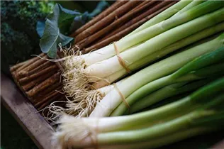 Allium porrum - Lauch Allium porrum - Lauch