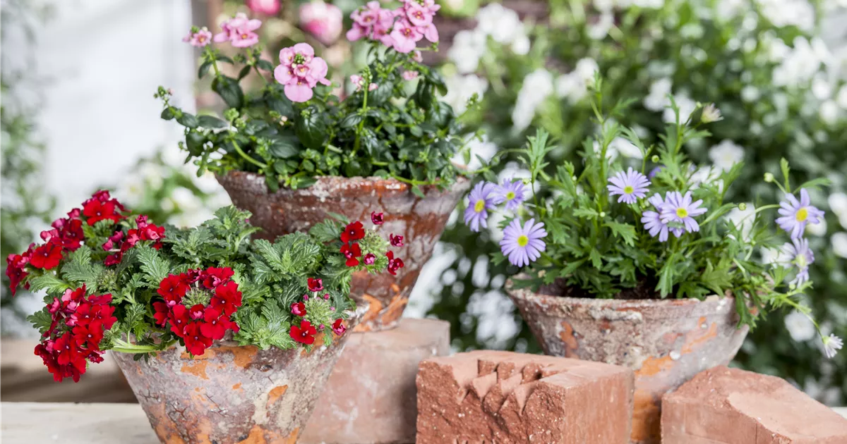  - Der ganz große Stil im Garten - eine Anleitung für Menschen mit Liebe zu Effekten