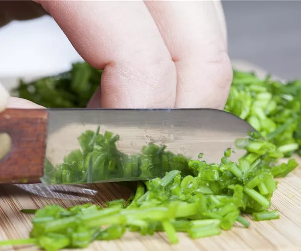 - Kochen mit Kräutern aus dem Garten  - Kochen mit Kräutern aus dem Garten