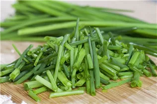 Allium schoenoprasum - Schnittlauch Allium schoenoprasum - Schnittlauch