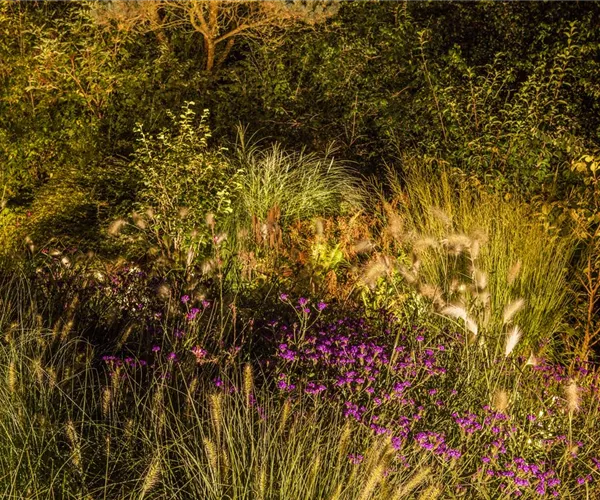 - Lichtquellen machen den Garten schöner!  - Lichtquellen machen den Garten schöner!