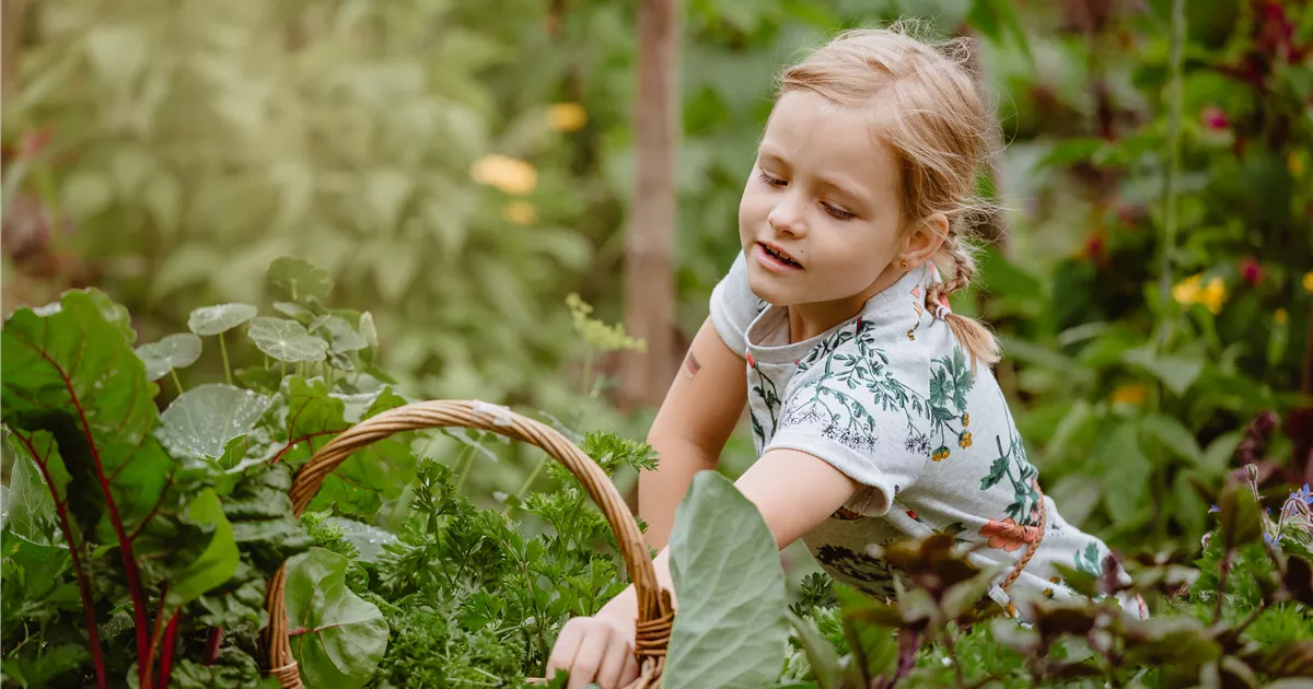  - Jetzt kann geerntet werden! Kinder spielerisch einbeziehen